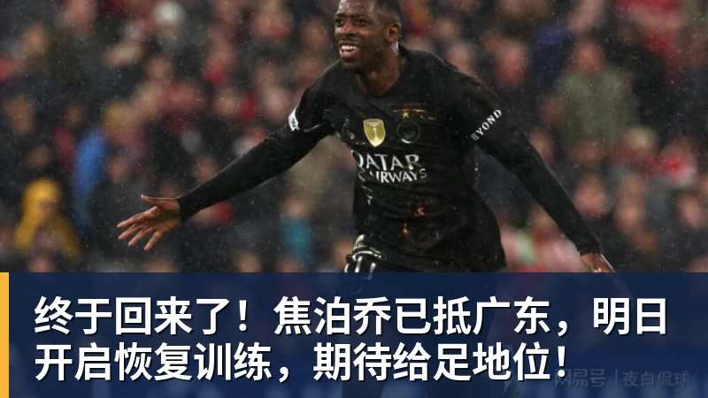 终于回来了！焦泊乔已抵广东，明日开启恢复训练，期待给足地位！