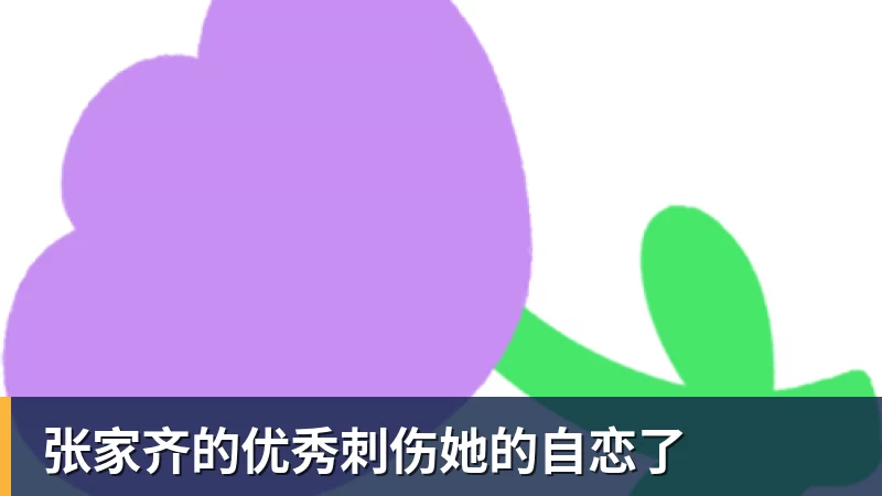 九游体育张家齐的优秀刺伤她的自恋了